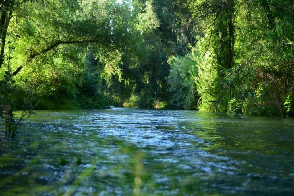 Вілла Vivienda Rural Mogon-Junto Al Guadalquivir B Вільякаррільйо Екстер'єр фото